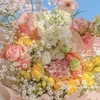 phanngocthao28