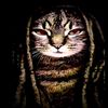 pharaoh_6_9