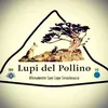 LUPI DEL POLLINO