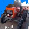 tayyibbenderbal65