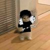 iker_mpl