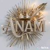 anammalik0331