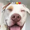 teamnaim__darrechi