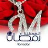 mohamedsallamelbakary