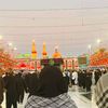 shia...291