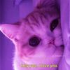 you_can82