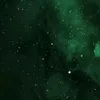 palo12.08