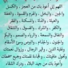 user302626127816494