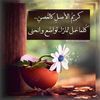 youssefsafi97