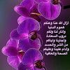 mahfouz99