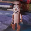 gasbrifranuripri