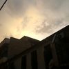 walid_t39