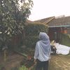 _aprilia332