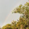 pastelrainbow53
