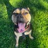 thatsmydawg_02