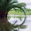 tinh_trong_thien_ha