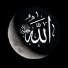 mohammed_nasser114