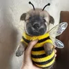 banhsungbotihon