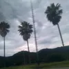 naguxs3