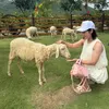 vananh151294