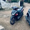 xhann557