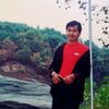 chipko31