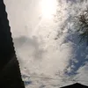 mrk_237