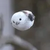 saki00008888
