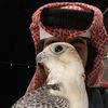 nayefalqahtani68