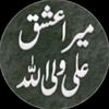 www.tiktok.taqvi