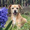 klein.aber.max