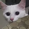 wiwimarie