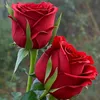 user1273011968351