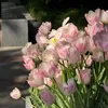bedau180621