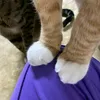 yeollmall_