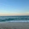 manuetavares
