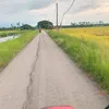 lepat_liat88