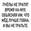 alexvarvash