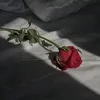 sevgili01_22
