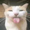 grace_phillips09