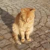 mohamedamineessaouira