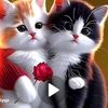 adam__879