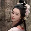 tuyet_.cailuong
