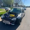 Goldo_performance
