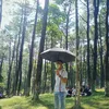 hoangductrieu0