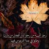 salam_ali8