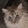 fuvk_ur_mom