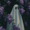 iamzhrpn