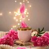 .farha_malik