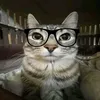 eosxmaia7